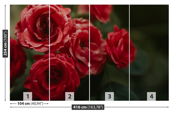 Fototapet Vintage Roses