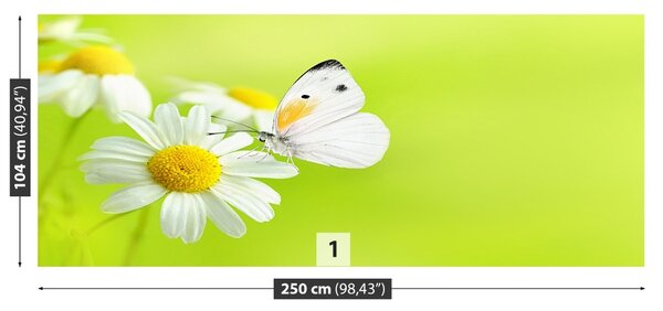 Fototapet Fluture și Mușețel