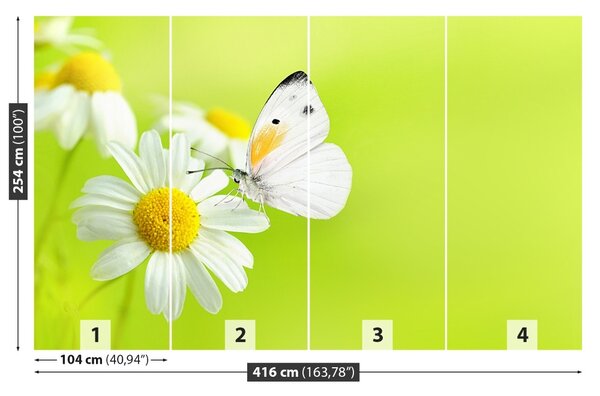 Fototapet Fluture și Mușețel