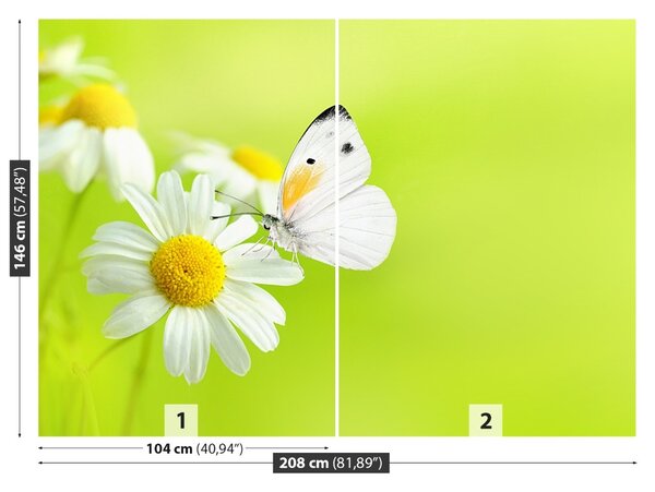 Fototapet Fluture și Mușețel