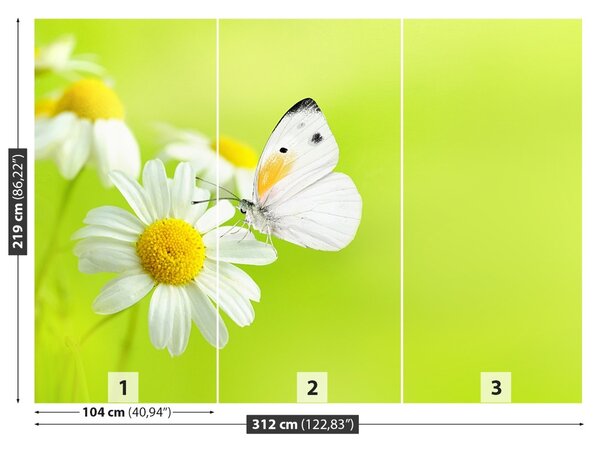 Fototapet Fluture și Mușețel