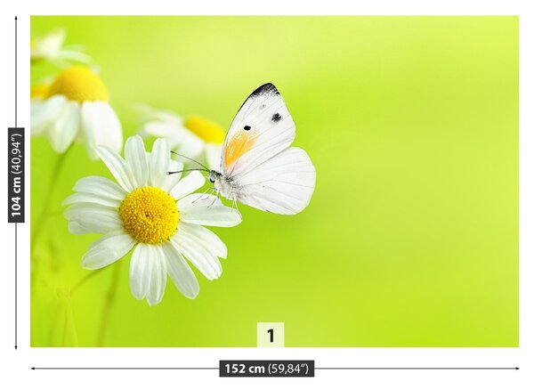 Fototapet Fluture și Mușețel