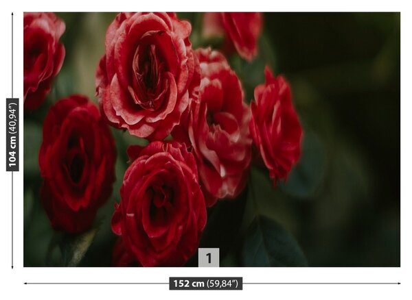 Fototapet Vintage Roses