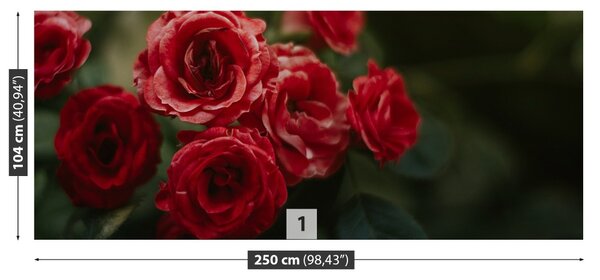 Fototapet Vintage Roses