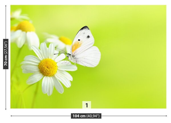 Fototapet Fluture și Mușețel