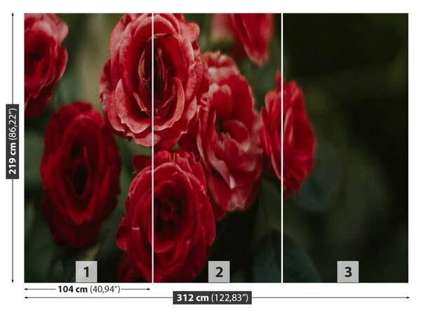 Fototapet Vintage Roses