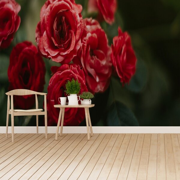 Fototapet Vintage Roses