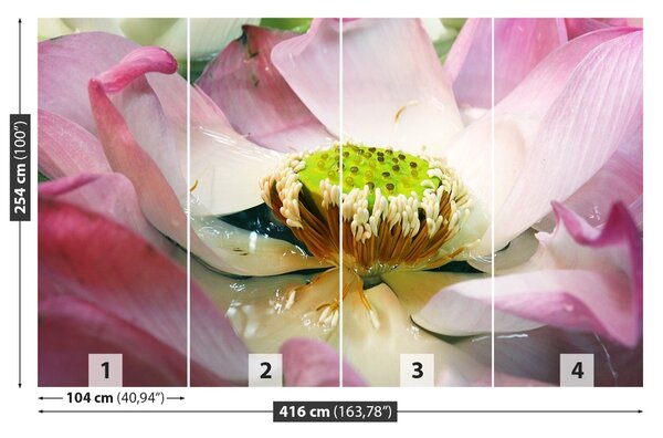 Fototapet Floare de lotus