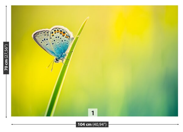 Fototapet Fluture