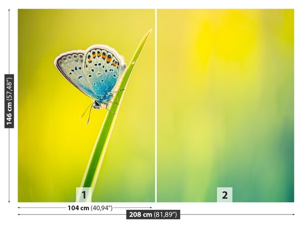 Fototapet Fluture