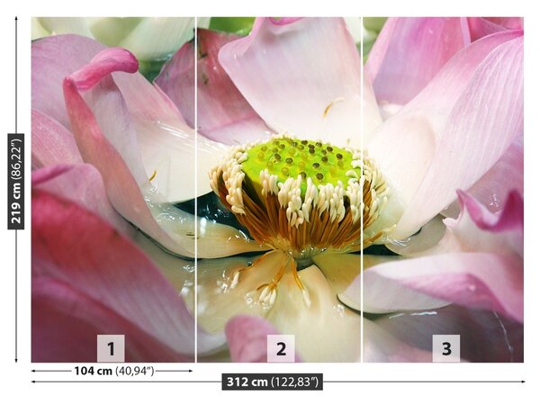 Fototapet Floare de lotus