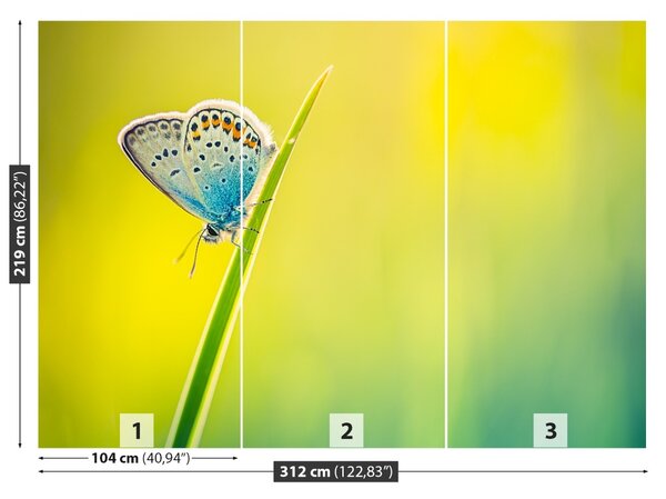 Fototapet Fluture