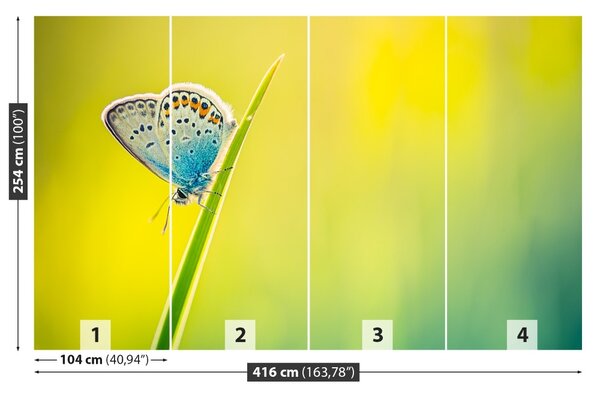 Fototapet Fluture