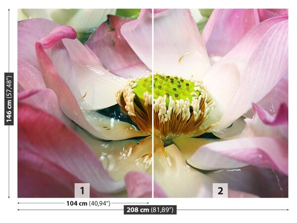 Fototapet Floare de lotus