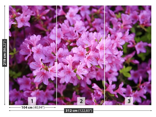 Fototapet Rhododendron roz