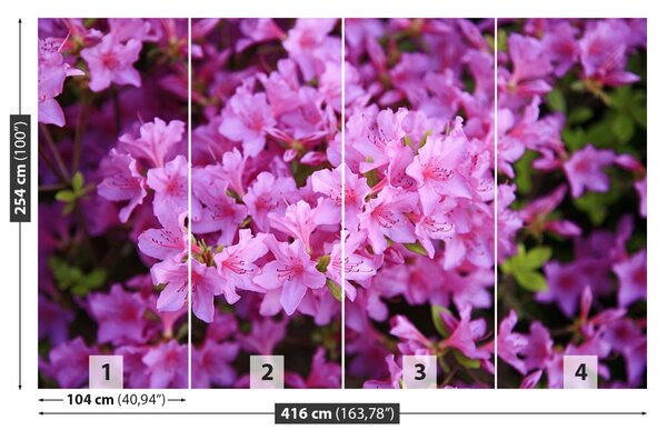 Fototapet Rhododendron roz
