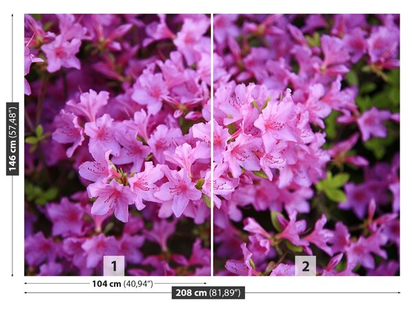 Fototapet Rhododendron roz