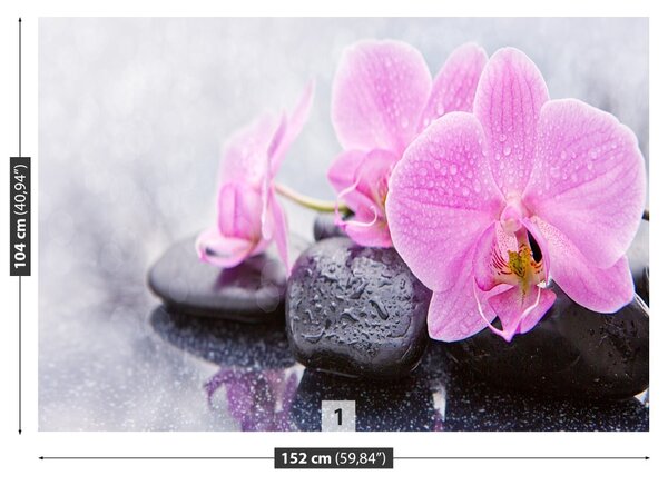 Fototapet Orchid Stones