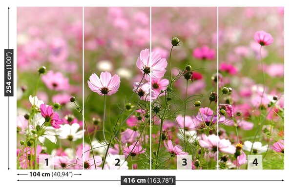 Fototapet Cosmos Flori