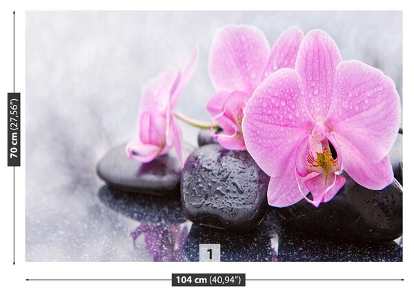 Fototapet Orchid Stones