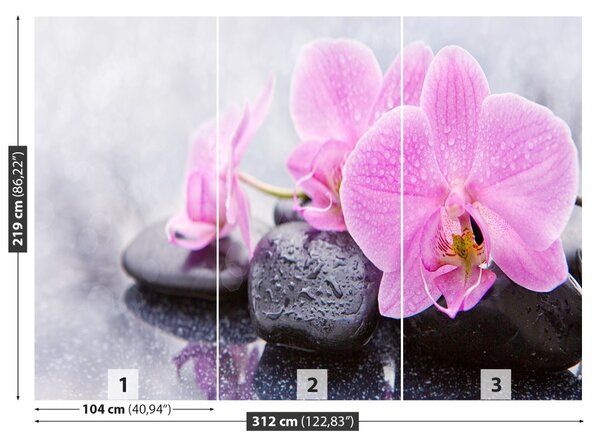 Fototapet Orchid Stones