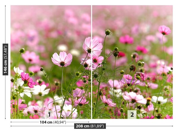 Fototapet Cosmos Flori