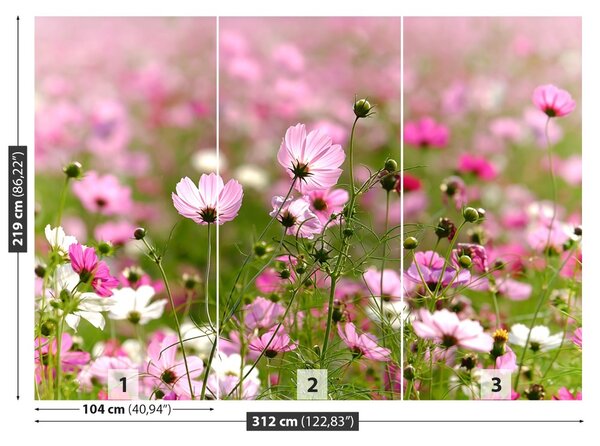 Fototapet Cosmos Flori