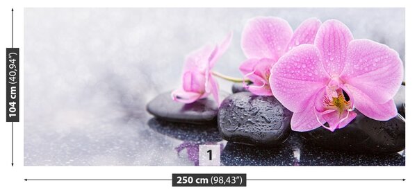 Fototapet Orchid Stones
