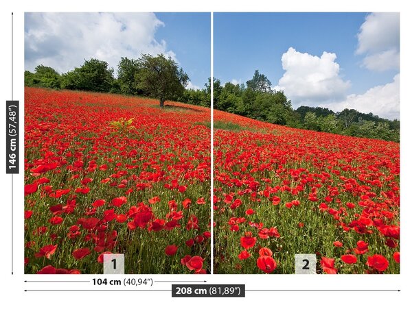 Fototapet Domeniu de Maci