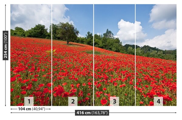 Fototapet Domeniu de Maci