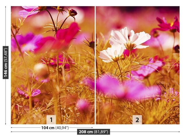Fototapet Cosmos Flower