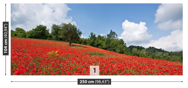 Fototapet Domeniu de Maci