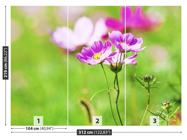 Fototapet Cosmos Purple