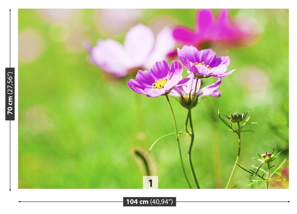 Fototapet Cosmos Purple