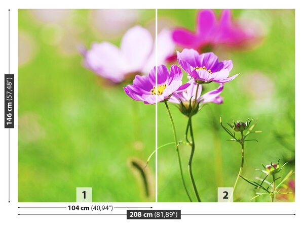 Fototapet Cosmos Purple