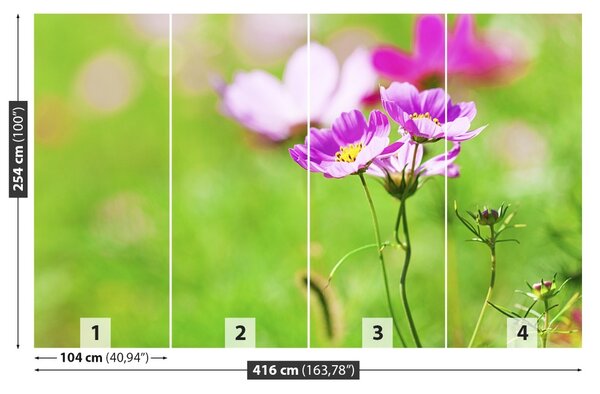 Fototapet Cosmos Purple