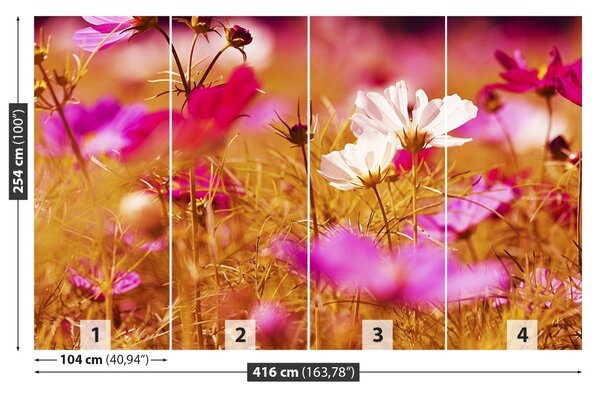 Fototapet Cosmos Flower