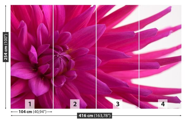 Fototapet Dahlia roz