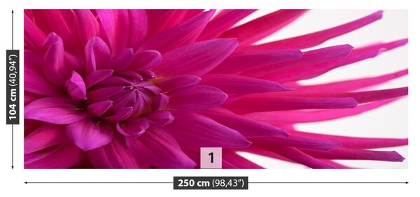 Fototapet Dahlia roz
