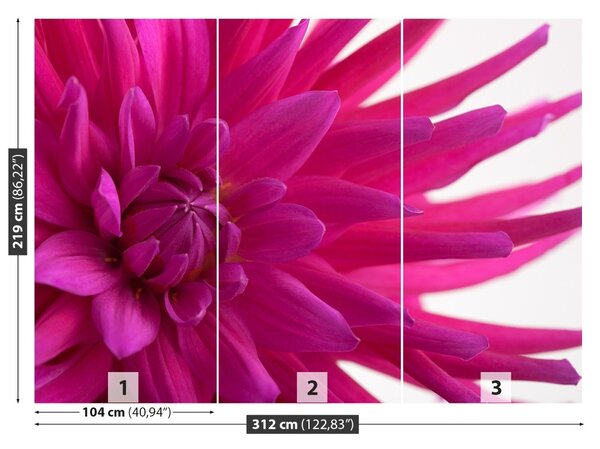 Fototapet Dahlia roz