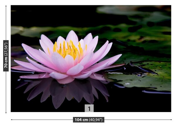 Fototapet roz Lotus