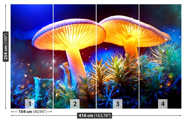 Fototapet Ciuperci forestiere