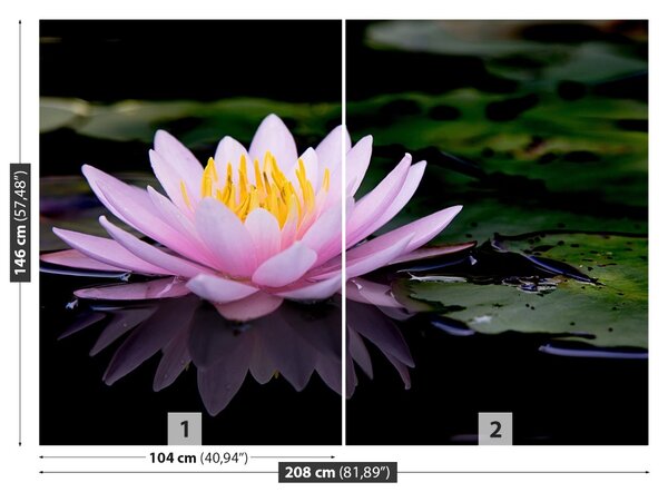 Fototapet roz Lotus