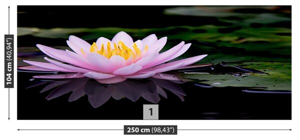 Fototapet roz Lotus