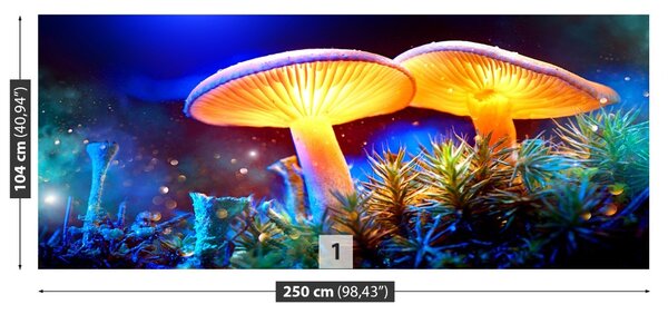 Fototapet Ciuperci forestiere