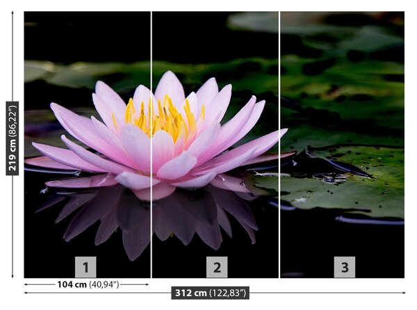 Fototapet roz Lotus