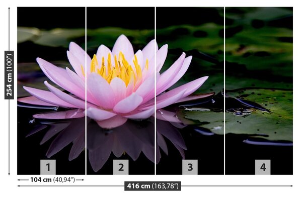 Fototapet roz Lotus