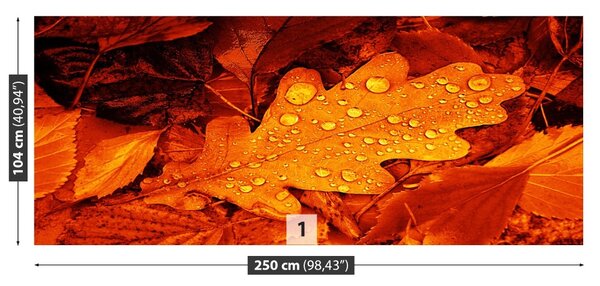 Fototapet frunze de stejar