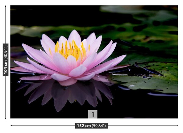 Fototapet roz Lotus