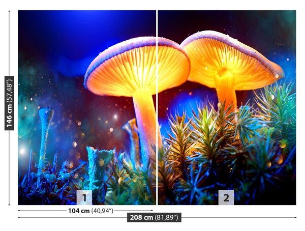 Fototapet Ciuperci forestiere